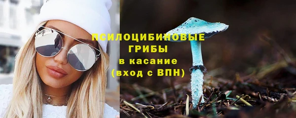 хмурый Алексин