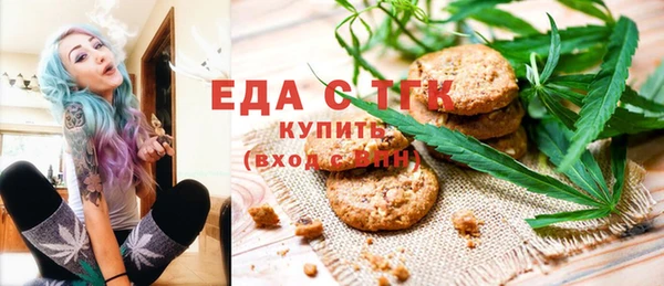 хмурый Алексин