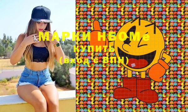 хмурый Алексин