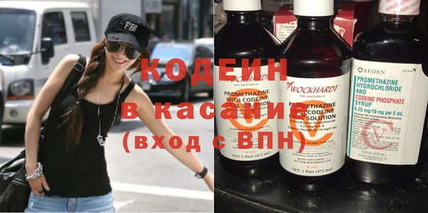 хмурый Алексин
