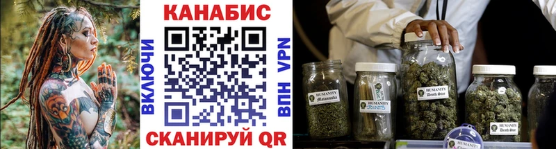 Канабис OG Kush Чёрмоз